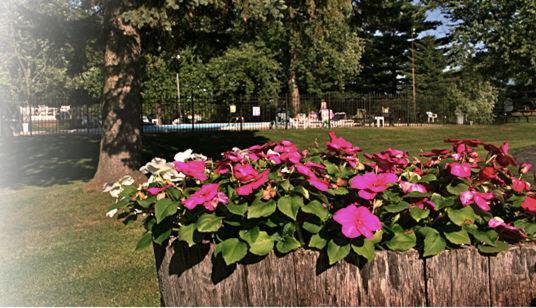 The Wesley Inn Motel Lake Geneva Eksteriør bilde